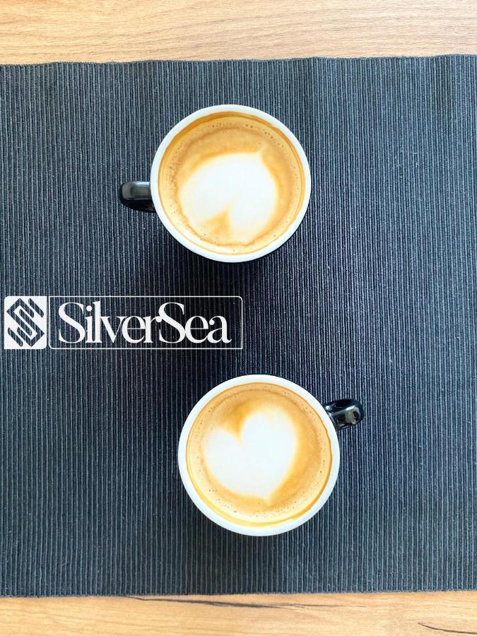 Silversea Apartman Šabac エクステリア 写真